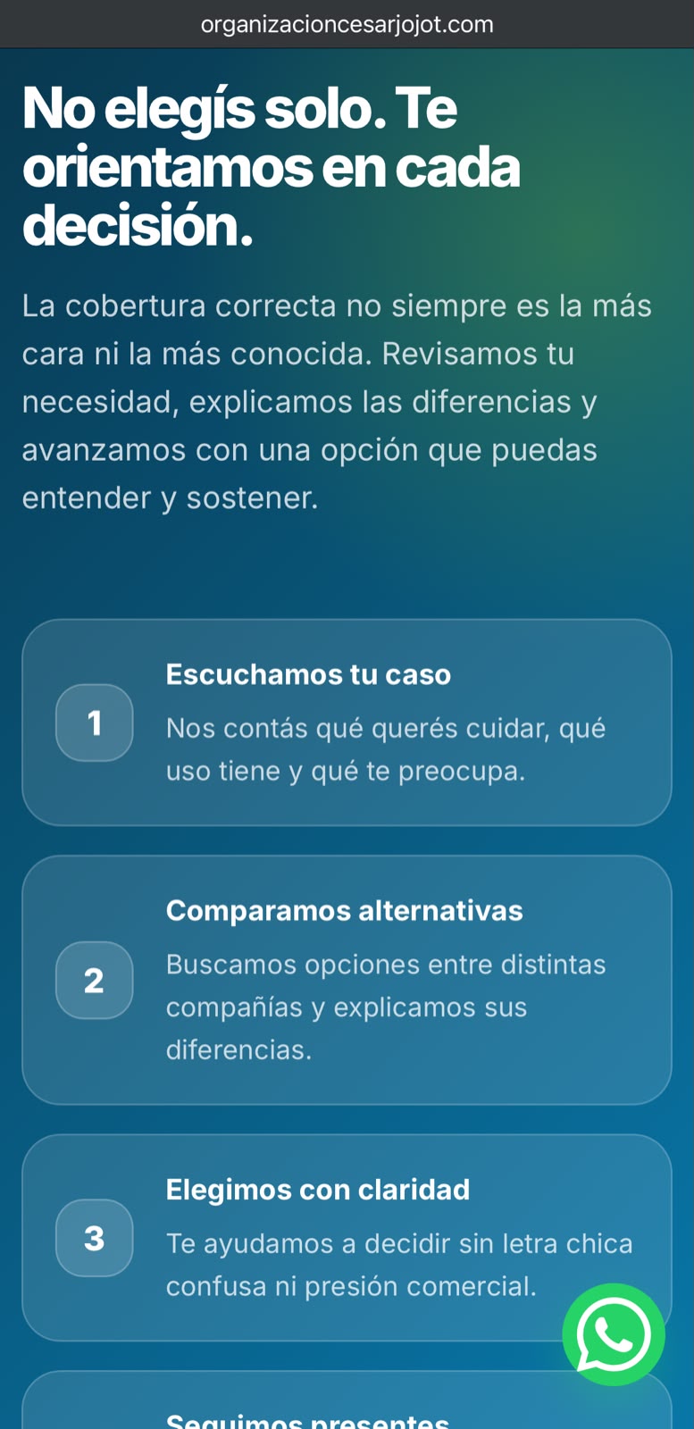 Captura Organización de Seguros Cesar Jojot 4