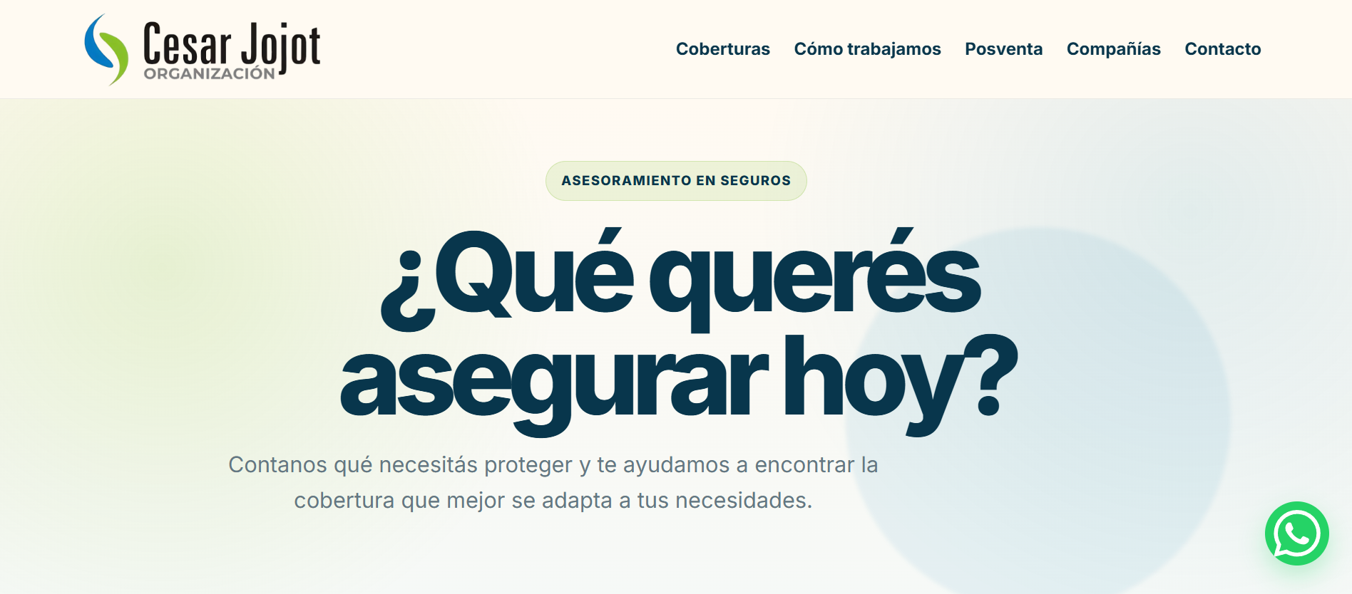 Organización de Seguros Cesar Jojot
