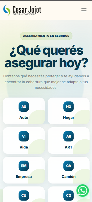 Captura Organización de Seguros Cesar Jojot 3